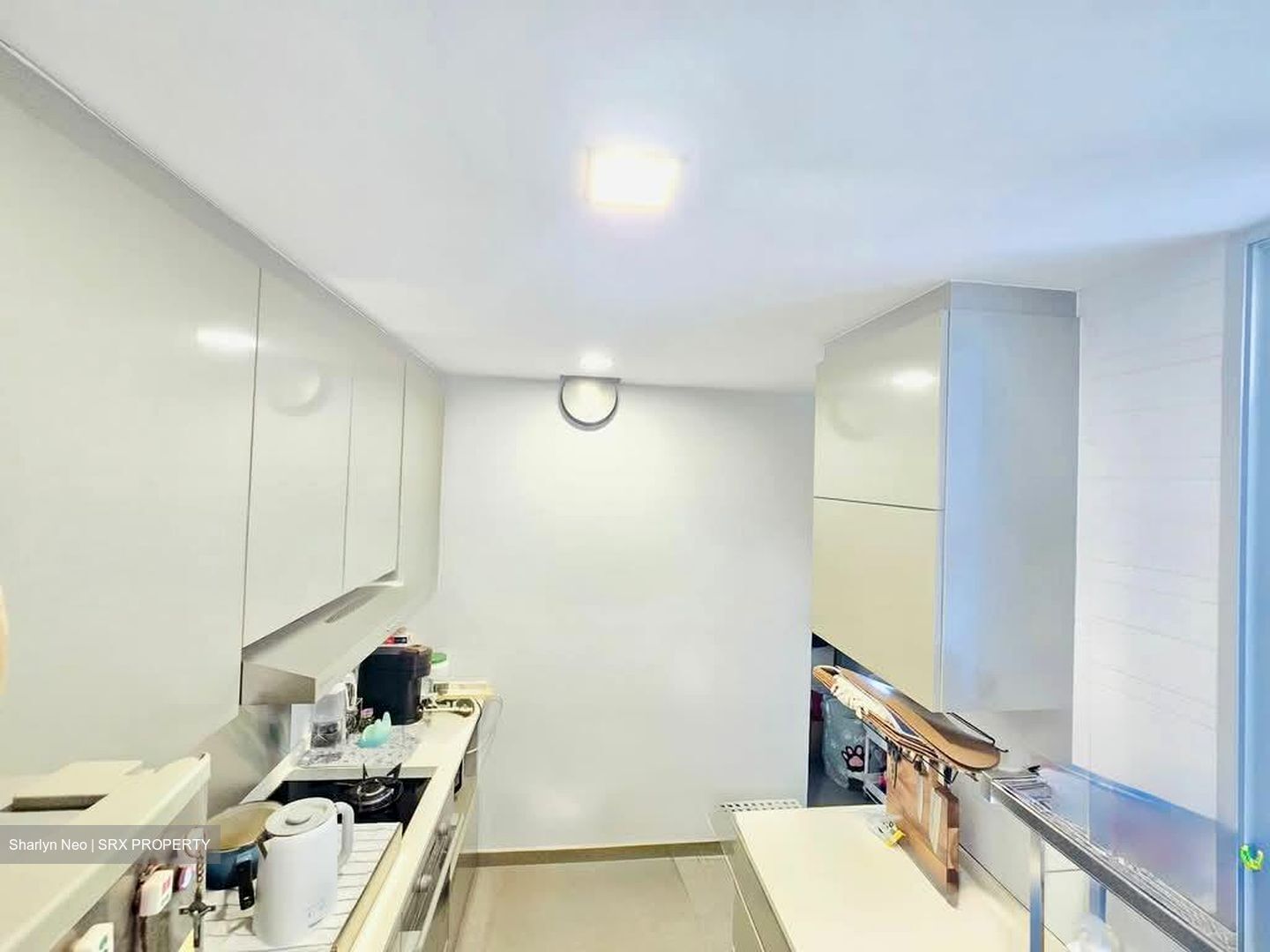 Amber Gardens (D15), Condominium #529931221